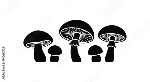 Black and white illustration of various sized mushrooms in a group