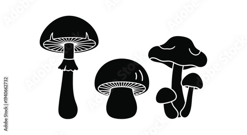 Stylized illustration of three black mushrooms on a white background