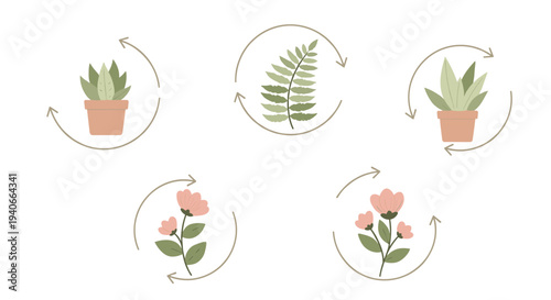 Illustrative collection of potted plants, fern leaves, and blooming flowers encircled by arrows, representing natural cycles, growth, and environmental care.
