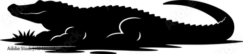 A striking black silhouette depicts an alligator lying in shallow water among reeds and grassy vegetation high-quality professional.