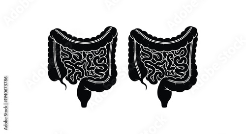 Anatomical illustration of the human large and small intestines black and white