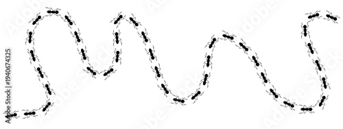 Black print track shows ants walking in a wavy curved line vector illustration