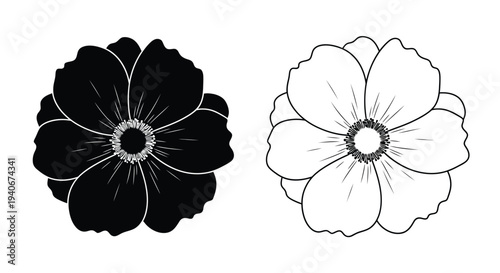Two anemone flowers one dark and one light in a minimalist style