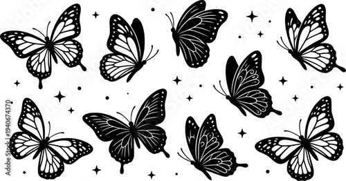 Black and white butterfly pattern with stars outline elegant decorative elements

