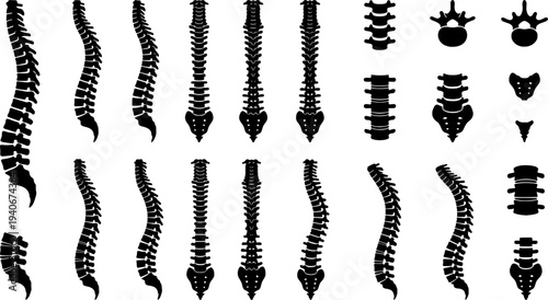 Black Spine Illustrations Medical Anatomy Diagrams Set
