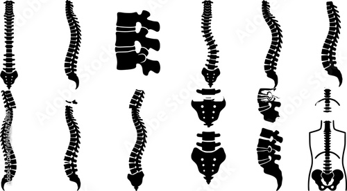Black Spine Illustrations Medical Anatomy Diagrams Set
