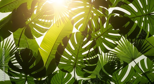 Vibrant tropical leaves with sunlight filtering through in lush green paradise