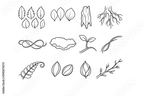 Line root icon frond image twig shell edge vector seed bud generation