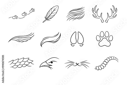 Animal vector path simple sketch generation line image arc curve pad branch