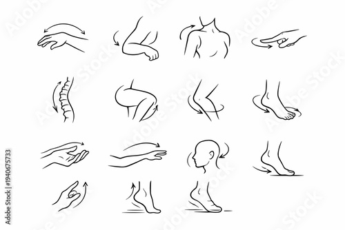 Vector simple icon reach generation wrist line palm image spine step sweep