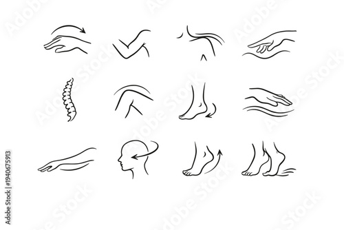 Generation trace pivot vector curve shoulder spine light quiet simple icon contour