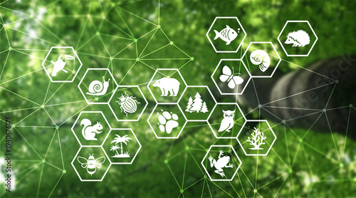 Biodiversity illustraion. Green banner with forest tree background & green foliage and icons related to animals from various biospheres, wildlife conservation, habitat & environmental protection.