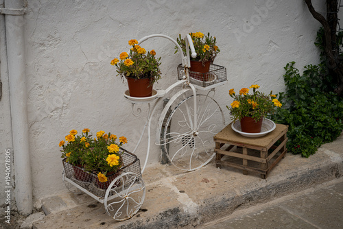 bicycle and flowers