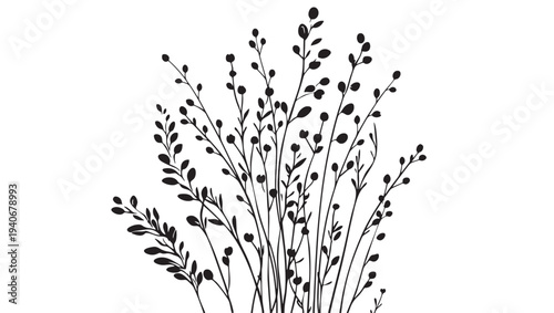 Plant silhouette with small buds and leaves in a graphic illustration style on a white background. featuring stems, floral, botanical with