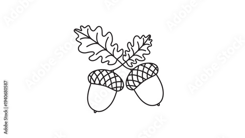 Acorns with oak leaves in a hand-drawn line art style, simple black and white illustration for autumn
