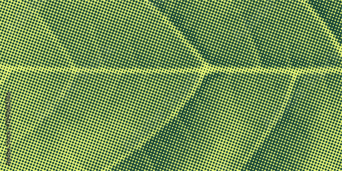 Halftone overlay resembling macro view leaf structure. Green dot texture. Vector banner for design and creative projects.