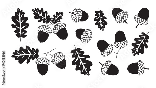 Acorns and oak leaves set with black outlines on a white background, representing autumn. featuring acorn, fall, nature with organic and botanical