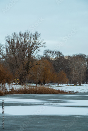 Wallpaper Mural Leafless willows and dry grass along a frozen pond edge  Torontodigital.ca
