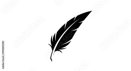Black Feather Silhouette Isolated on White.