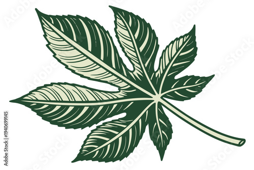 cannabis leaf isolated on white