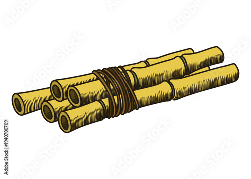 Cane sugar. Sugarcane plant. Engraving hand drawn natural organic food or natural ingredient. Fresh sugar bamboo