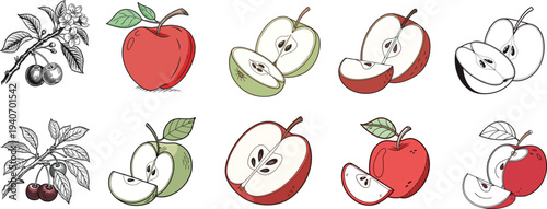 Vintage Rustic Half Apple Branch Clipart Set. Hand Drawn Fruit Botanical Illustration.