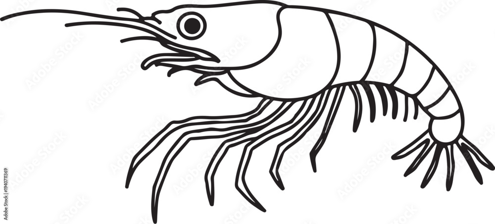 Fototapeta premium Prawn Hand-drawn Sketch Drawing Vector Illustration, Line Linear Symbol Black and White Engraving, Isolated