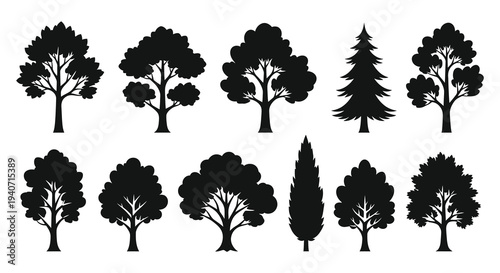 A collection of diverse tree shapes including deciduous and coniferous varieties presented in black silhouette high quality professional detailed modern elegant