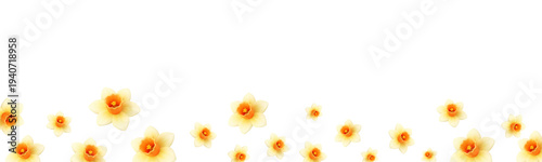 Spring floral border with daffodil flowers on white background. 3D realistic seasonal decoration