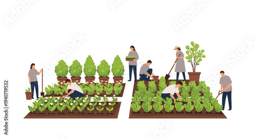 Several people are diligently working in two separate garden beds, cultivating various plants and harvesting produce, with potted trees in the background.