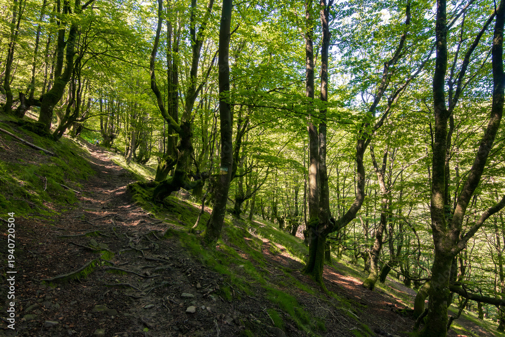 Fototapeta premium Scenic landscape from the summit of Mount Andasto in Urkiola Natural Park, Basque Country, Spain.