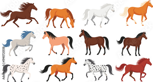 Set of diverse horses in different poses, running, walking, and standing, featuring various breeds, colors, and patterns on a white background