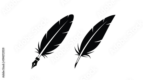Two black quill feathers displayed against a white background silhouette