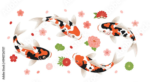 Four stylized koi fish with orange, black, and white patterns are dynamically arranged amidst scattered cherry blossoms and Japanese floral elements on a pristine white background.
