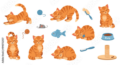 Seven cartoonish orange tabby cats are depicted in various playful and resting poses alongside an assortment of cat toys on a clean white background.