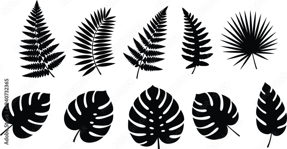 Obraz premium Collection of various tropical leaf silhouettes