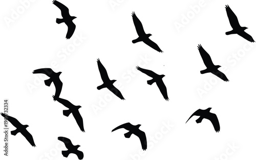 A flock of birds flying in formation against a white background