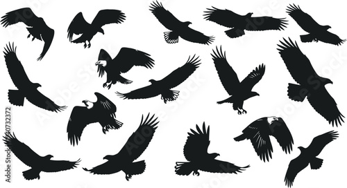 Flock of birds in flight silhouette