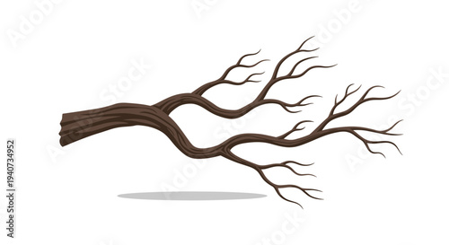 A solitary gnarled brown tree branch with numerous bare twigs extends horizontally across a clean white background, casting a subtle shadow.