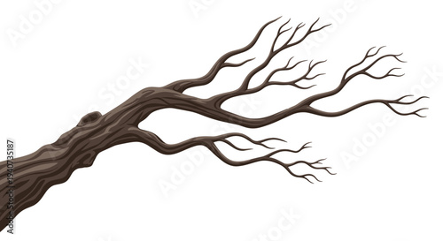 A robust gnarled brown tree branch with numerous bare twigs extends diagonally downwards across a pristine white background.
