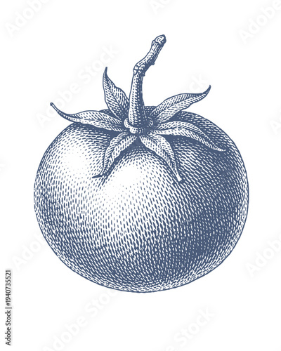 Vintage black and white illustration of a ripe tomato with stem and leaves