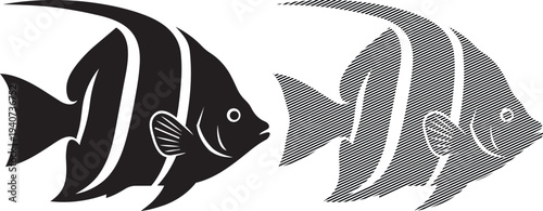 Contrasting black and white fish illustration with striped and solid patterns