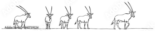 Herd of oryx antelopes walking in the desert continuous line drawing, african wildlife safari animals set