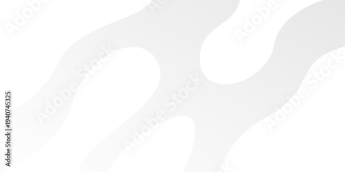 Abstract white and gray smooth curve background design. texture white pattern. vector illustration