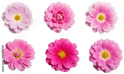 garden worker with plant png gardener holding flower pot png gardening worker png transparent background image