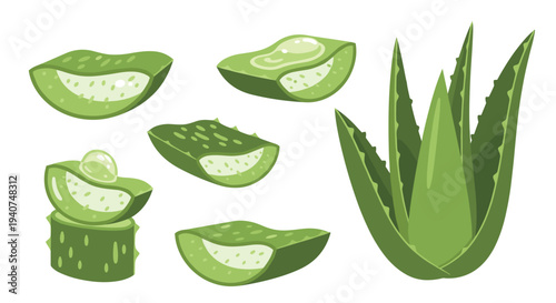 A collection of seven green aloe vera plant elements, including a full plant and six sliced leaves with visible gel, are organically arranged on a white background.