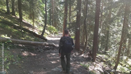 Man walks through tall pine trees on dirt trail. Dappled sunlight filters through dense forest canopy. Trail curves gently, surrounded by green undergrowth. He moves steadily, carrying backpack