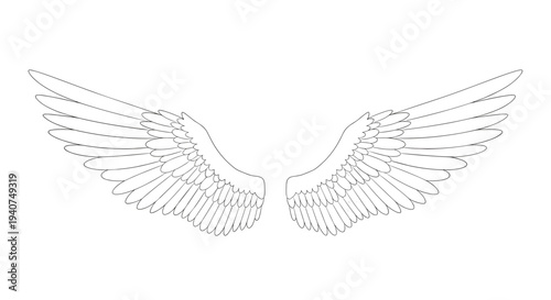 A pair of intricately detailed line art wings are symmetrically extended, showcasing numerous individual feathers against a pristine white background.