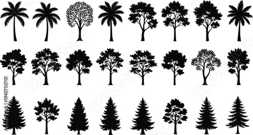 Collection of black tree silhouettes including palm oak pine and spruce isolated on a white background for nature design