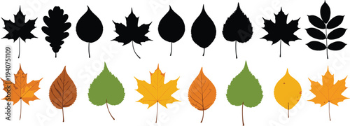 Isolated curved tree branch with lush green leaves and textured brown bark for nature design on white background